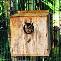 3/13/2016 tarihinde Miguel G.ziyaretçi tarafından McCarthy&amp;#39;s Wildlife Sanctuary'de çekilen fotoğraf