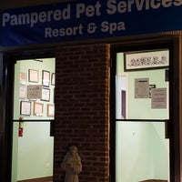 pampered pet services resort and spa