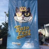 Photo taken at Gato Fest 2017 by Patt P. on 2/19/2017
