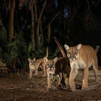 Photo taken at Cabela&#39;s by William S. on 6/3/2021