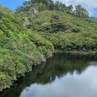 2/21/2023 tarihinde Laszloziyaretçi tarafından Zealandia Eco-Sanctuary'de çekilen fotoğraf