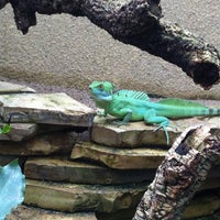 Das Foto wurde bei Aquarium Berlin von Jurriaan S. am 5/2/2013 aufgenommen