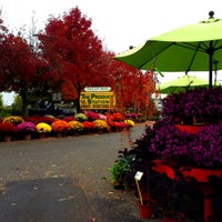 Photo taken at Produce Station by Watty W. on 10/5/2012