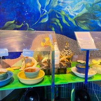 10/29/2021에 Ross S.님이 Best Fish Taco in Ensenada에서 찍은 사진