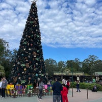 Photo taken at Disney&#39;s Animal Kingdom by Ross S. on 12/18/2022