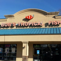 bob's tropical fish