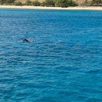 Снимок сделан в Ko&amp;#39;olina Ocean Adventures | Swim With Dolphins Adventure! пользователем Christopher M. 5/18/2021