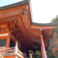 薬王院温泉寺 山代 144 Visitors 薬王院温泉寺 山代 144 Visitors