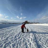 Photo taken at Shikisai no Oka by kemun on 2/12/2024