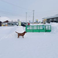 Photo taken at Shikisai no Oka by kemun on 2/17/2024