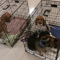petsmart hurstbourne