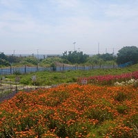 花の里フローラルビレッジ名倉 南房総市 19 Visitors 花の里フローラルビレッジ名倉 南房総市 19 Visitors