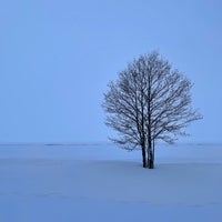 Photo taken at Sestroretsk Beach by Юрий Гиденич on 1/28/2022