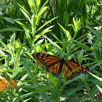 Forever Green Nursery Garden Center Service Forever Green Nursery Garden Center