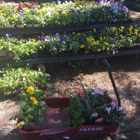 Moon Valley Nurseries Phoenix Az