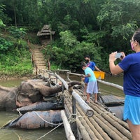 River Kwai Jungle Raft Floating Hotel Kanchanaburi - 10 tips from 471 ...