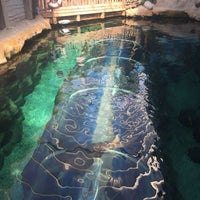 7/25/2017에 Zeynep F.님이 Oceanarium, The Bournemouth Aquarium에서 찍은 사진