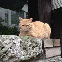 Regalo 1 Tip From 28 Visitors