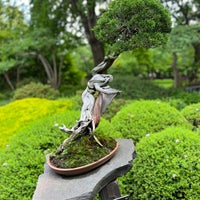 Photo taken at Japonská zahrada by Honza M. on 6/24/2023