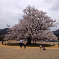越前市立味真野小学校 越前市 福井県 越前市立味真野小学校 越前市 福井県