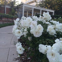 Photo taken at UCLA Luskin School of Public Affairs by nikki on 4/20/2015