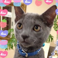 United Hair ユナイテッドヘアー 草津市 滋賀県