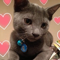 United Hair ユナイテッドヘアー 草津市 滋賀県