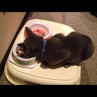 United Hair ユナイテッドヘアー 草津市 滋賀県