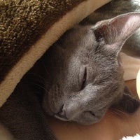 United Hair ユナイテッドヘアー 草津市 滋賀県