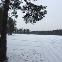 Photo taken at Коркинское озеро by Tatiana T. on 2/14/2015