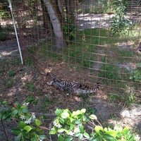 Photo taken at Big Cat Rescue by Lauren H. on 5/12/2013