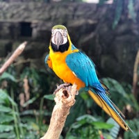 Photo taken at Butterfly Park &amp;amp; Insect Kingdom by Mick on 12/21/2018