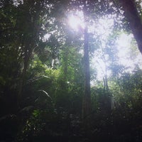 Photos At Hutan Lipur Ampang Other Great Outdoors