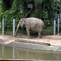 Photo taken at Elephants of Asia by Brian F. on 10/22/2022