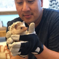 Photo taken at Harry Hedgehog Cafe by Erica C. on 10/1/2019
