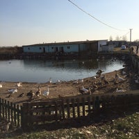 Photo taken at Школа Верховой Езды by Антон Л. on 4/11/2015