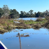 Photo taken at Middle Of The Swamp by Tia on 11/3/2022