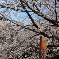 Photo taken at 目黒川田道街かど公園 by Tsutomu W. on 4/8/2012