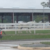 Photo taken at Aldine Westfield Stables by Taylor O. on 4/18/2013