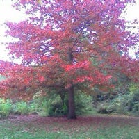 Photo taken at Fishponds Park by Jay G. on 10/25/2012