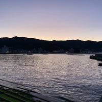 網代港 網代