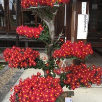 滋賀院門跡 1 Tip