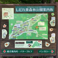 しだれ栗森林公園 辰野町 長野県 しだれ栗森林公園 辰野町 長野県