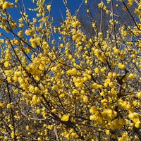 Photo taken at Kyodo no Mori Park by Hiromitsu H. on 1/14/2024