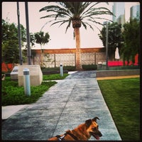Photo taken at Grand Park- Dog Run by Karlyn F. on 8/6/2013