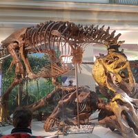 Photo taken at Dinosaurs/Hall of Paleobiology Exhibit by Anjelita M. on 2/15/2020