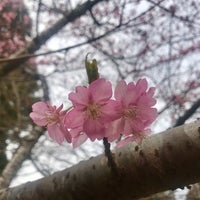 Photo taken at 泉自然公園 by TOM on 3/13/2022