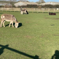 hahahahahaha - Picture of The Isle of Wight Donkey Sanctuary - Tripadvisor