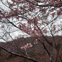 戸倉宿キティパーク 千曲市 長野県