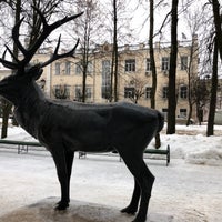 Photo taken at У Оленя by Michael T. on 2/2/2019